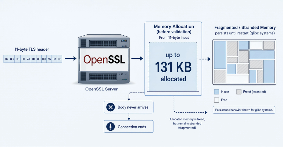 OpenSSL HollowByte flaw permits server memory freezing via small TLS requests